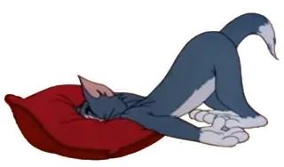 ☝️ Tom Tom and Jerry dessin animé, chat, sommeil, oreiller, épuisé, Tom et Jerry telegram sticker