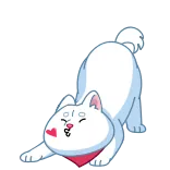 Shiba - @TgEmojis telegram emojis 😘