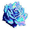 🌸