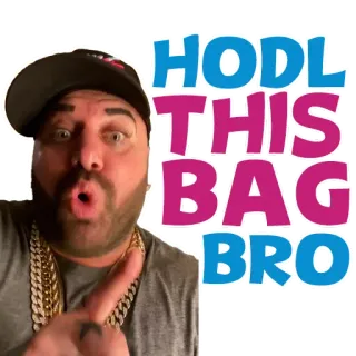 🦾 HODL THIS BAG BRO ходл, крипто, мем, инвестиции, держатель_мешка whatsapp sticker