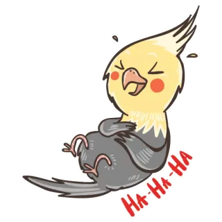 😂 HA-Ha-HA uccello, calopsitta, che ride, felice, divertente, cartone animato telegram sticker