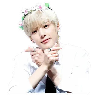 ❤️ kpop, ไอดอล, เกาหลี, มงกุฎดอกไม้, ภาพเหมือน, น่ารัก telegram sticker