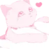 🐱