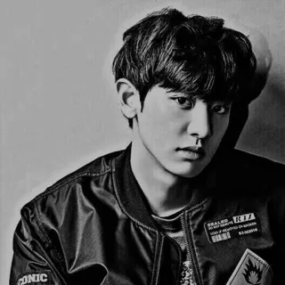 ⚖ Chanyeol Chanyeol, EXO, K-pop, Chanteur, Idole, Portrait, Monochrome telegram sticker