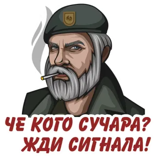 teamDBD telegram stickers