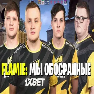 🎱 Flamie Counter-Strike: Global Offensive FLAMIE: МЫ ОБОСРАННЫЕ e스포츠, CS:GO, 프로게이머, NaVi, 팀, 경쟁 게임 whatsapp sticker
