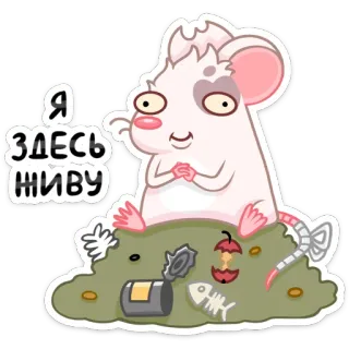 🗑 Я здесь живу Cartoon, Maus, Ratte, Müll, Nagetier, Russischer Text telegram sticker