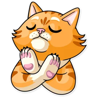 🙅‍♂️ แมว, สัตว์, น่ารัก, ลูกแมว, สีส้ม, สมาธิ, ความสงบ, สงบ whatsapp sticker
