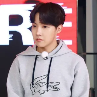 🎭 pria, hoodie, lacoste, abu-abu, potret, korea telegram sticker