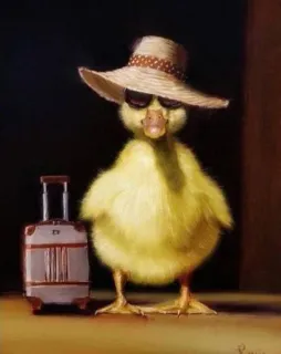 🌟 pato, viajes, maleta, sombrero, gafas de sol, pájaro, vacaciones telegram sticker