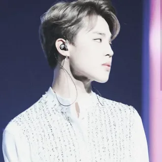 🔖 kpop, ídolo, cantante, celebridad, música, retrato telegram sticker