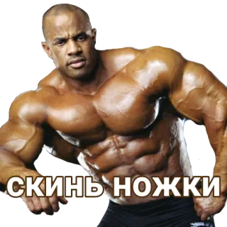 🦵 Скинь Ножки ボディービルダー, 筋肉, フィットネス, 男性, ジム telegram sticker