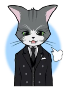 😔 고양이, 애니메이션, 귀여운, 카와이, 동물, 옷입히기 telegram sticker