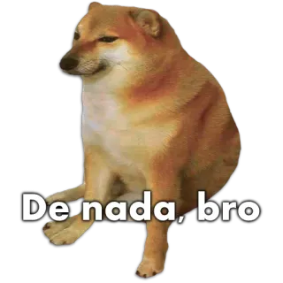 🐶 De nada, bro หมา, มีม, โดจ, ไม่เป็นไร, เพื่อน, มีมอินเทอร์เน็ต whatsapp sticker