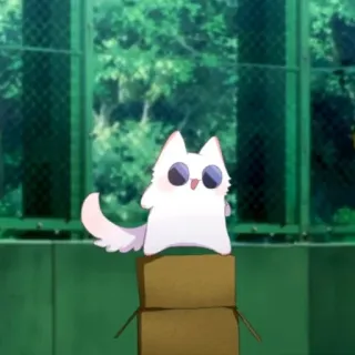 💮 cat, sticker, animal, box, white cat telegram sticker