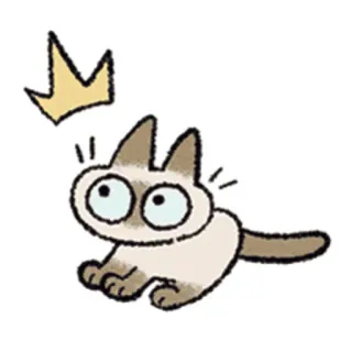 🙀 cat, crown, cute, animal, sticker telegram sticker