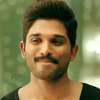 😇 Allu Arjun actor, indio, película, celebridad, retrato telegram sticker