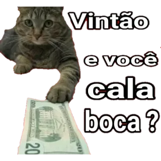😒 Vintão e você cala boca ? кот, деньги, двадцать долларов, оскорбление, мем telegram sticker