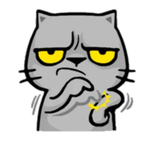 🕐 Katze, wütend, Meme, lustig, Sticker telegram sticker