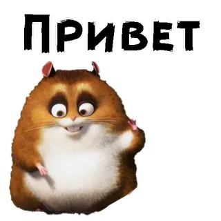 😃 ПРИВЕТ хомяк, привет, русский, животное, милый whatsapp sticker