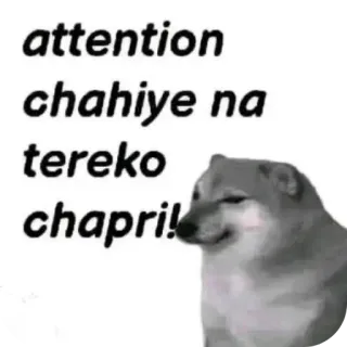 🐶 doge attention
chahiye na
tereko
chapri! 犬, ミーム, ネットスラング, かまってちゃん telegram sticker