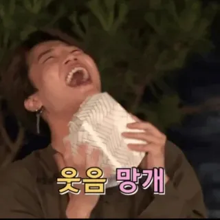 🥙 웃음 망개 laughing, person, korean, happy, emotion telegram sticker