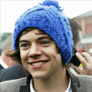 🍩 Harry Styles celebrity, singer, blue hat, portrait, man, male telegram sticker