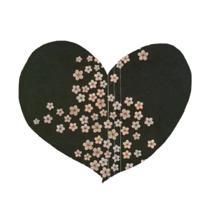 🖤 цветы вишни, цветы, цветочный, розовый, природа, весна whatsapp sticker