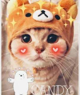 🌟 CANDY mèo, dễ thương, gấu, hoạt hình, kẹo, động vật, kawaii telegram sticker
