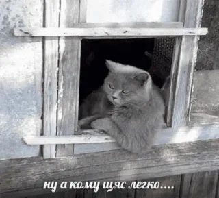 😑 ну а кому щяс легко.... telegram sticker