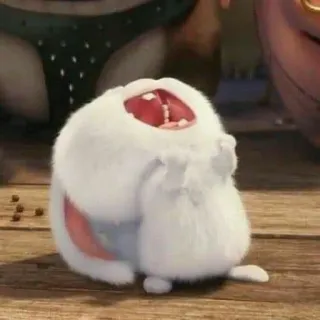 🤣 うさぎ, 漫画, 面白い, 動物, 叫ぶ, 白 telegram sticker