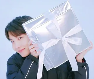 🎁 person, gift, present, silver, bow, k-pop telegram sticker