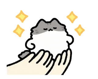 🤩 gato, lindo, brillo, esponjoso, kawaii, mascota, gatito, animal telegram sticker
