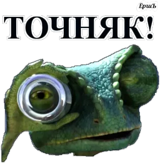 👌 ТОЧНЯК! Eidechse, Chamäleon, Glubschaugen, Cartoon, Tier telegram sticker
