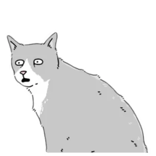 😦 gato, meme, animal, surpreso, desenho animado, engraçado telegram sticker