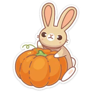 ☹️ rabbit, bunny, pumpkin, fall, autumn, cute, animal, sticker telegram sticker