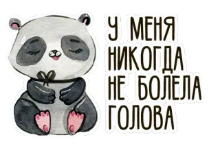 ❤ У МЕНЯ НИКОГДА НЕ БОЛЕЛА ГОЛОВА Panda, Mignon, Animal, Dessin animé, Aquarelle, Texte, Russe whatsapp sticker