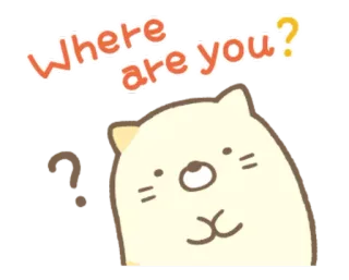 🤔 Where are you? แมว, คำถาม, น่ารัก, สติกเกอร์, สัตว์, ข้อความ telegram sticker
