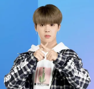 🙅‍♂ NEW WORLD K-Pop, Idol, Person, Mann, Porträt, Jimin, BTS telegram sticker