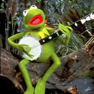 🎸 Kermit frog, puppet, green, banjo, music, muppets telegram sticker