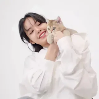 🍭 woman, cat, pet, smiling, indoors, portrait, shirt, happy, cute telegram sticker