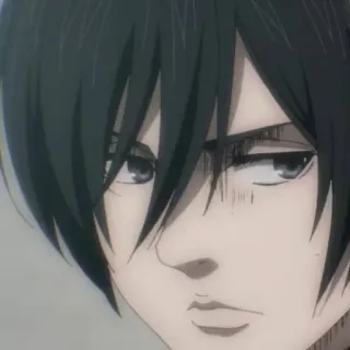 🙁 Mikasa Ackerman Attack on Titan Mikasa, Ackerman, Attack on Titan, AOT, anime, character, serious, expression telegram sticker