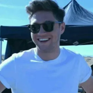 🍕 Niall Horan Niall Horan, Cantante, Músico, Celebridad, One Direction, Estrella pop telegram sticker