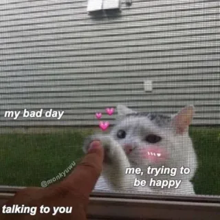 🩰 my bad day
talking to you
me, trying to be happy Katze, Meme, traurig, niedlich, Haustier whatsapp sticker