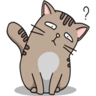 ❓ gatto, animale, adesivo, carino, animale domestico, cartone animato whatsapp sticker