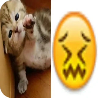 👍 小猫, 猫, 表情符号, 伤心, 可爱 telegram sticker