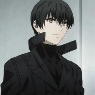 🇦🇴 Haise Sasaki Tokyo Ghoul Anime, Personaggio, Manga, Haise Sasaki, Tokyo Ghoul telegram sticker