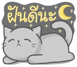 Cat Fullmoon whatsapp stickers