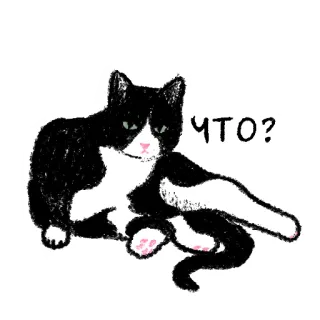 ❓ ЧТО? gatto, domanda, russo, animale, meme telegram sticker
