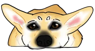 🙂 corgi, anjing, binatang, lucu, hewan peliharaan telegram sticker